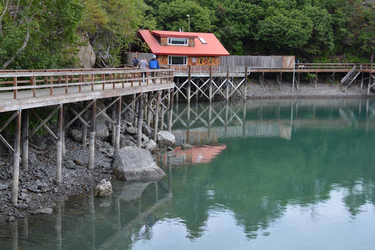 homes at halibut cove